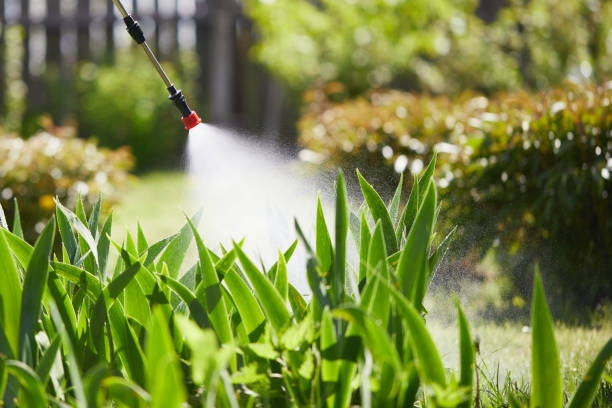 Tamper-Resistant Bait Stations for Rodents in Stockton