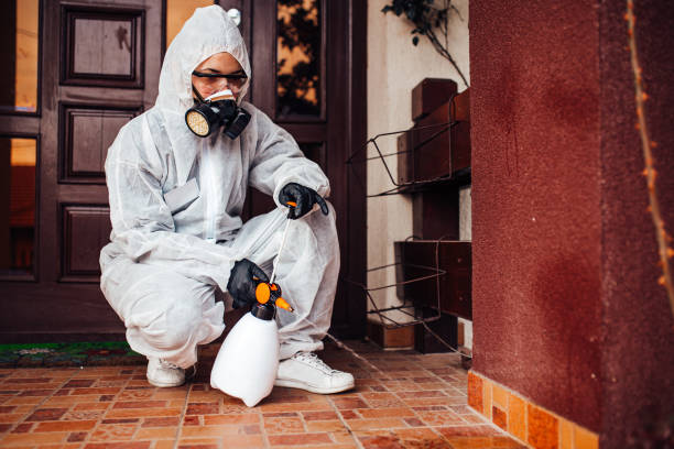 Attic and Crawl Space Rodent Treatment in Stockton