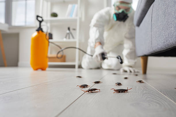 Commercial Rodent Management in Stockton